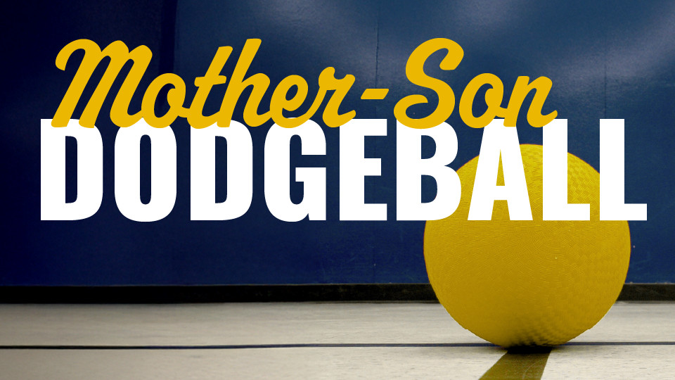 Dodgeball Web